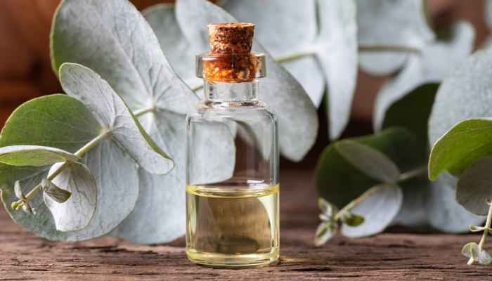 The Power of Natural Cleaning Products: Uses, Benefits & Tips