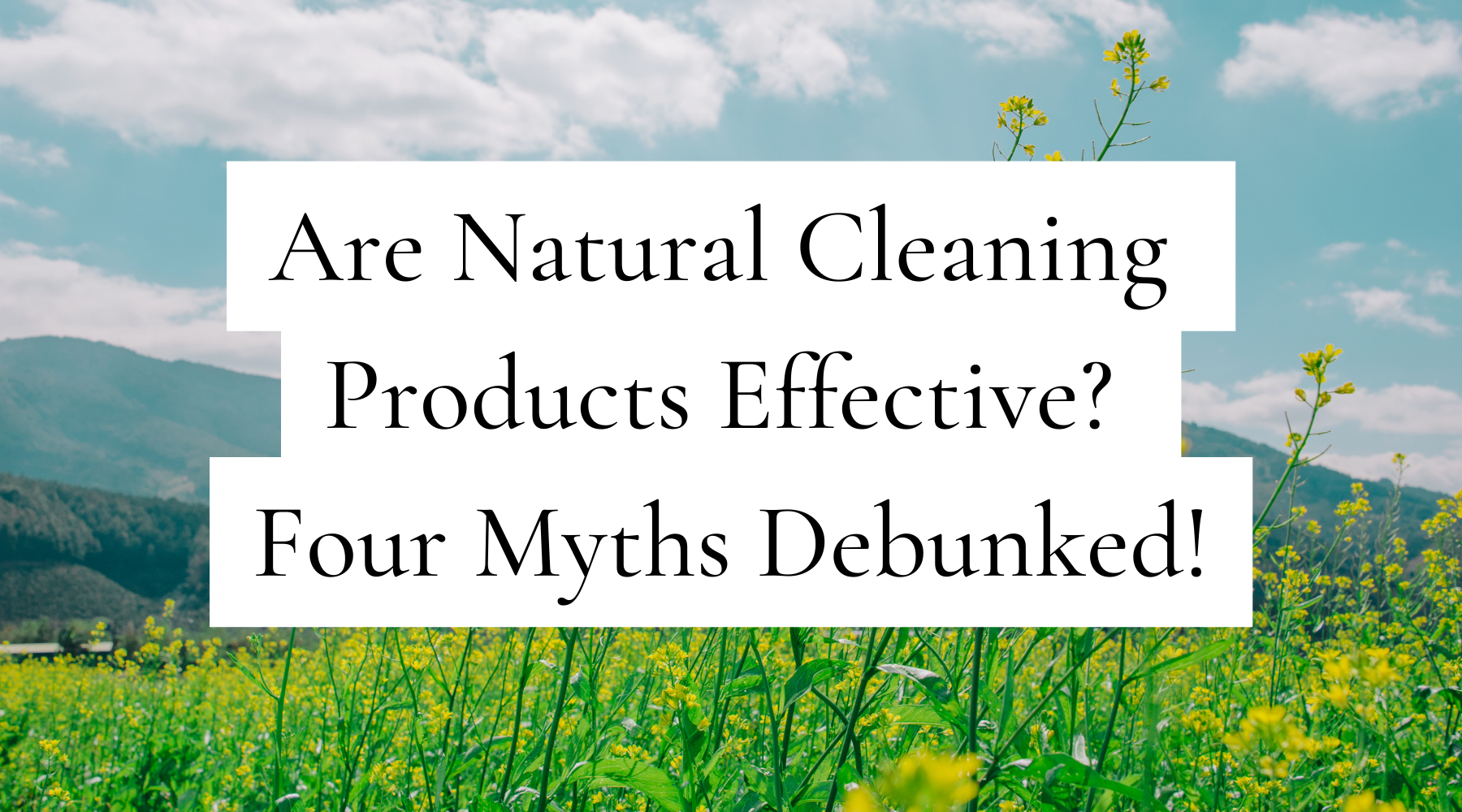 Are Natural Cleaning Products Effective? Four Myths Debunked!