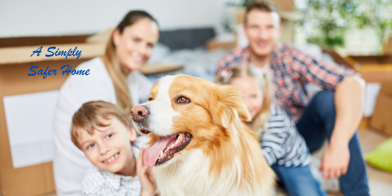 How to Switch to Natural Cleaning Products for a Safer, Healthier Home