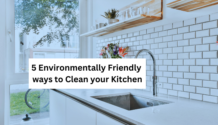 5 Environmentally Friendly Ways to Clean Your Kitchen