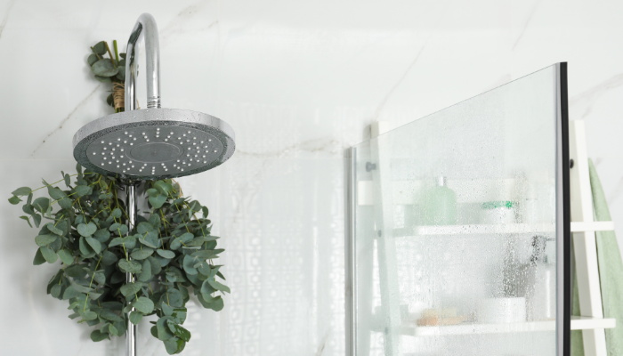 Benefits of Hanging Eucalyptus in the Shower